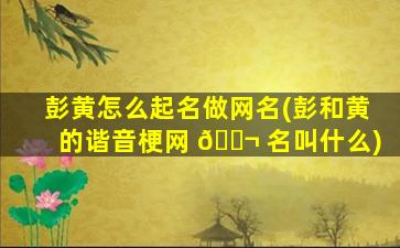 彭黄怎么起名做网名(彭和黄的谐音梗网 🐬 名叫什么)